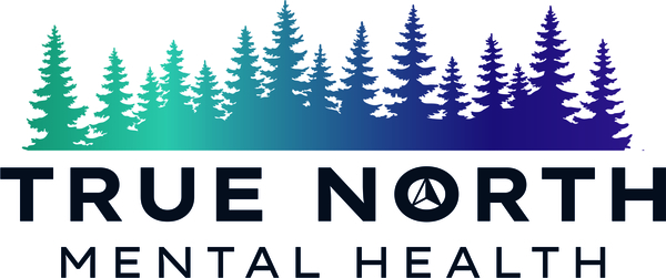 True North Mental Health