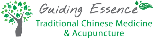 Guiding Essence Traditional Chinese Medicine and Acupuncture
